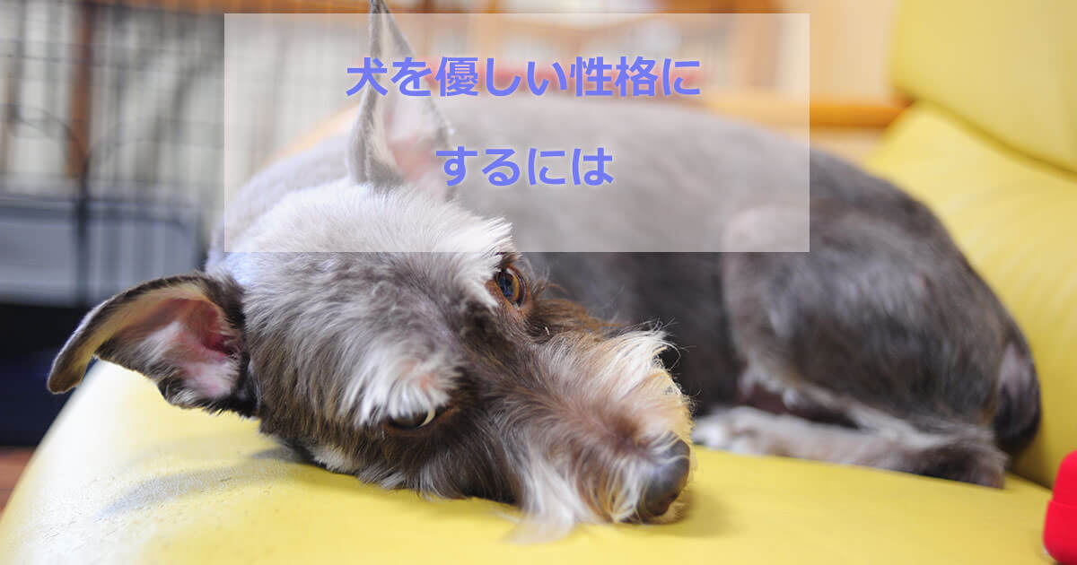 犬を優しい性格にする
