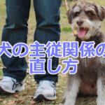主従関係の直し方
