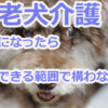 老犬介護