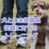 主従関係