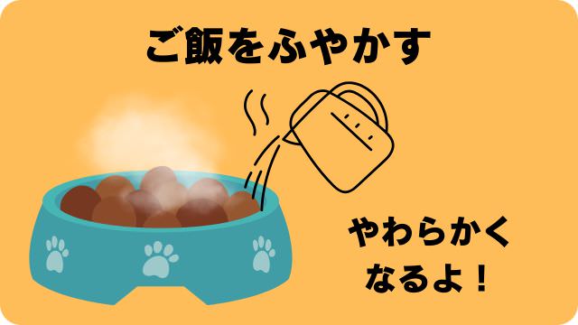 3ヶ月の子犬がご飯を食べない