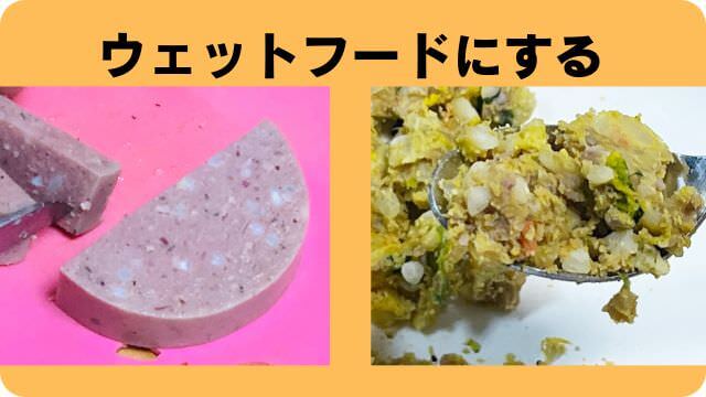 3ヶ月の子犬がご飯を食べない