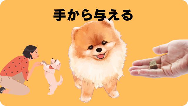 3ヶ月の子犬がご飯を食べない