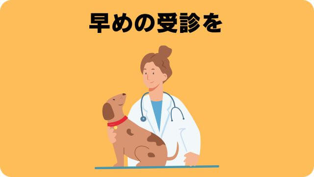 3ヶ月の子犬がご飯を食べない