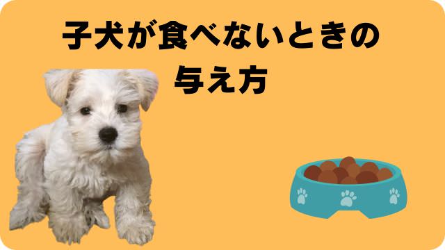 3ヶ月の子犬がご飯を食べない