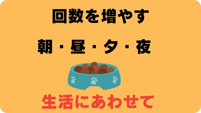 3ヶ月の子犬がご飯を食べない