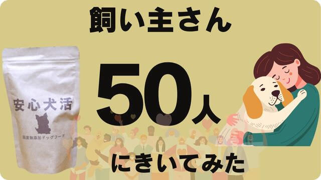 安心犬活