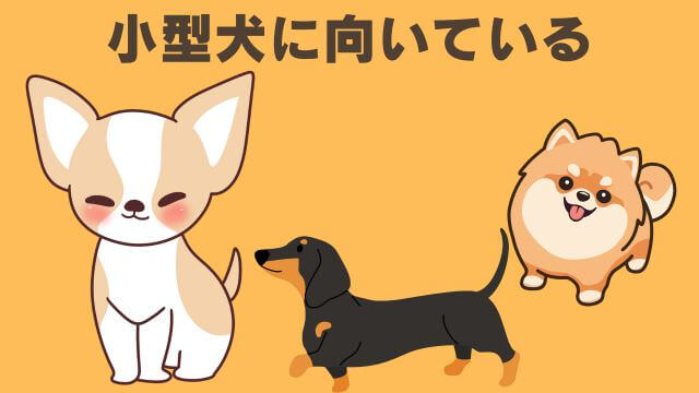 安心犬活とモグワンドッグフード