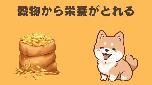 安心犬活とモグワンドッグフード