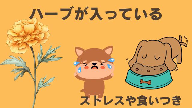 安心犬活とモグワンドッグフード