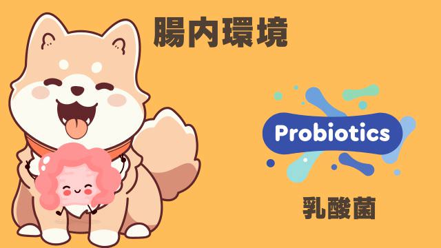 安心犬活とモグワンドッグフード
