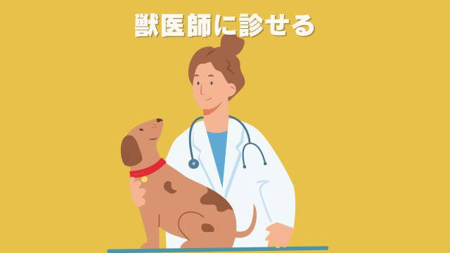 安心犬活とモグワンドッグフード