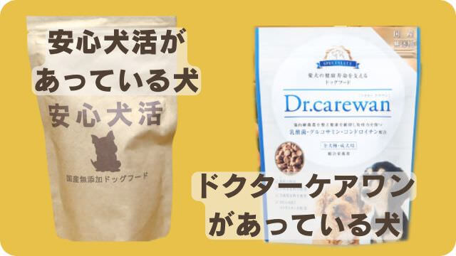安心犬活とドクターケアワンドッグフー