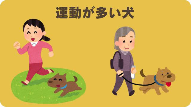 安心犬活とドクターケアワンドッグフー