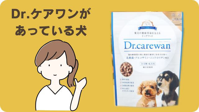 安心犬活とドクターケアワンドッグフー
