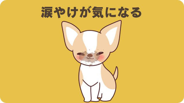 安心犬活とドクターケアワンドッグフー
