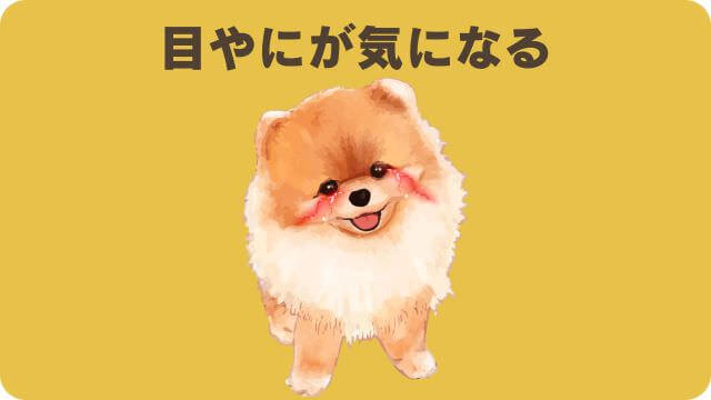 安心犬活とドクターケアワンドッグフー