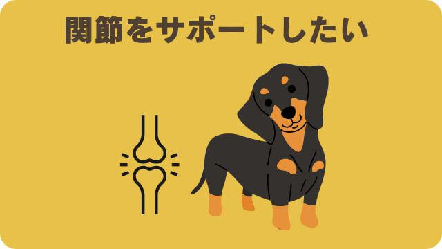 安心犬活とドクターケアワンドッグフー