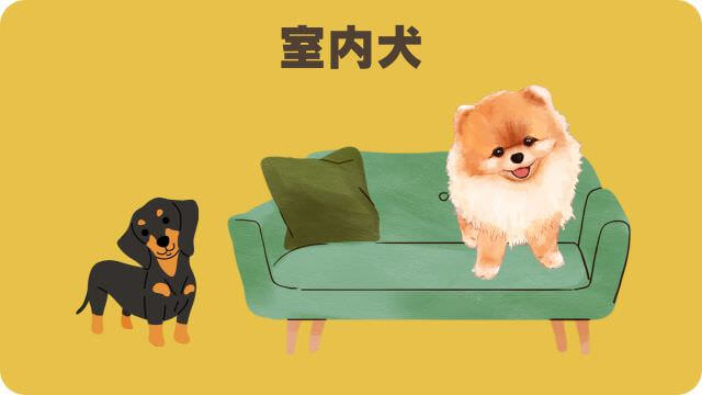 安心犬活とドクターケアワンドッグフー