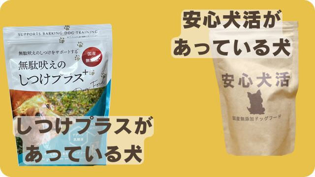 しつけプラスと安心犬活のドッグフード