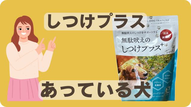 しつけプラスと安心犬活のドッグフード