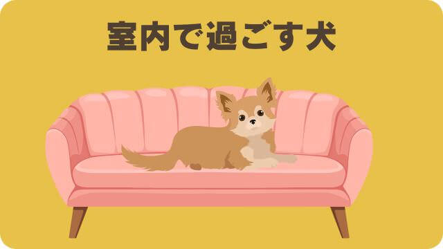 しつけプラスと安心犬活のドッグフード