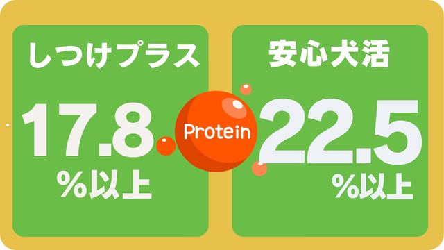 しつけプラスと安心犬活のドッグフード