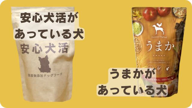 国産の安心犬活とうまかドッグフード