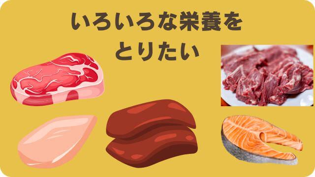 国産の安心犬活とうまかドッグフード