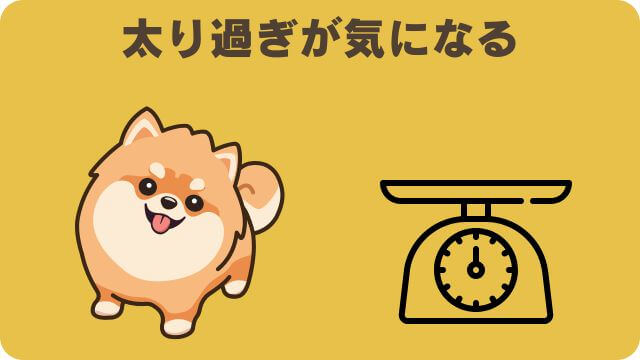 国産の安心犬活とうまかドッグフード