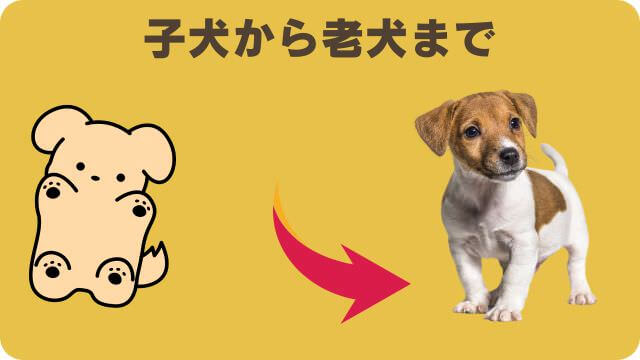 国産の安心犬活とうまかドッグフード
