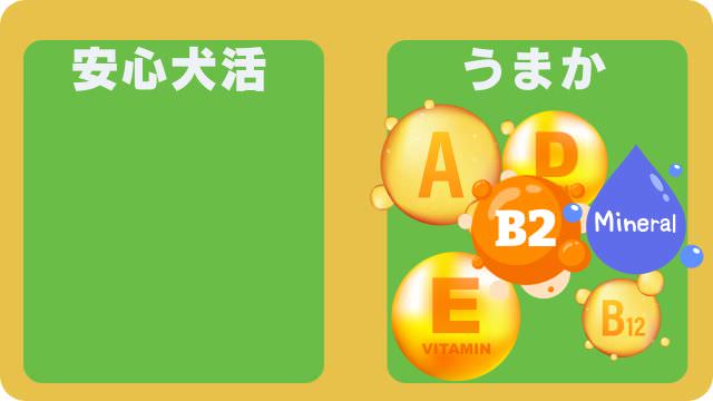 国産の安心犬活とうまかドッグフード