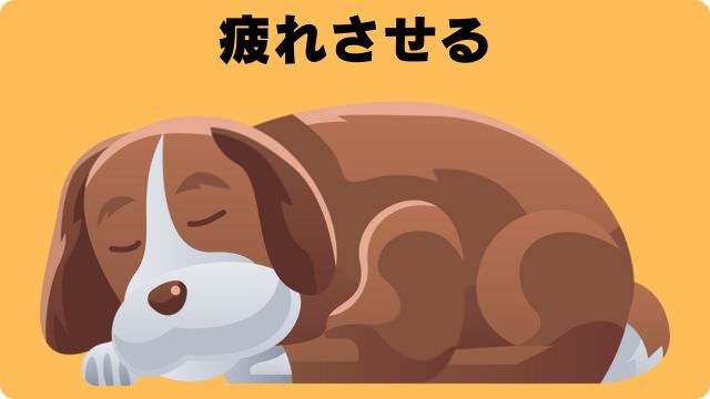 犬の留守番で吠える