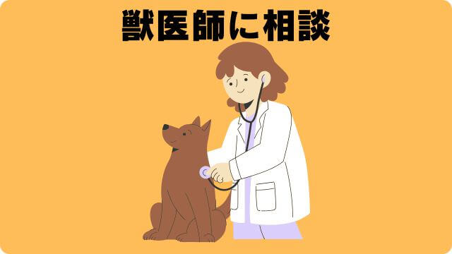 犬の留守番で吠える