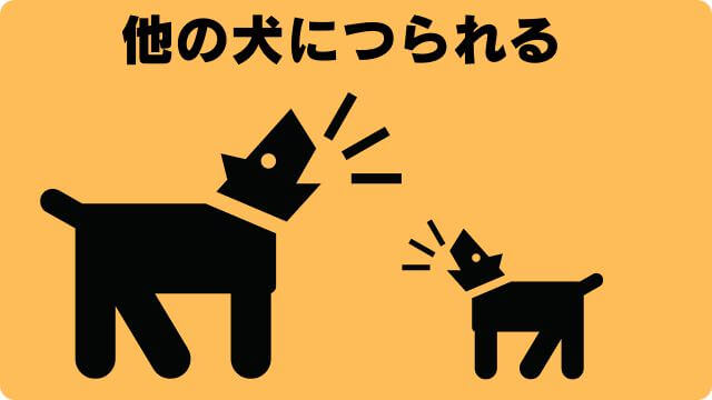 犬の留守番で吠える