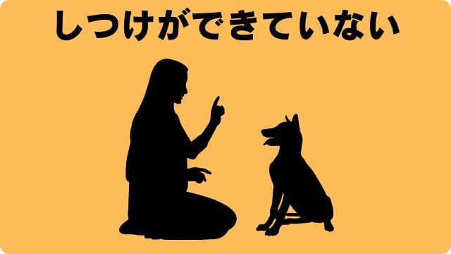 犬の留守番で吠える