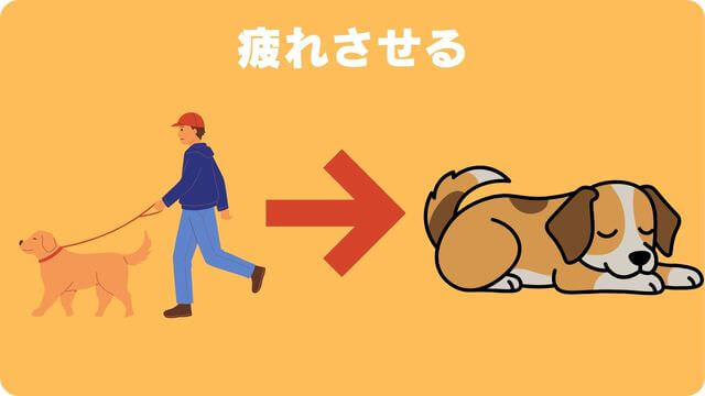 犬が留守番中吠える