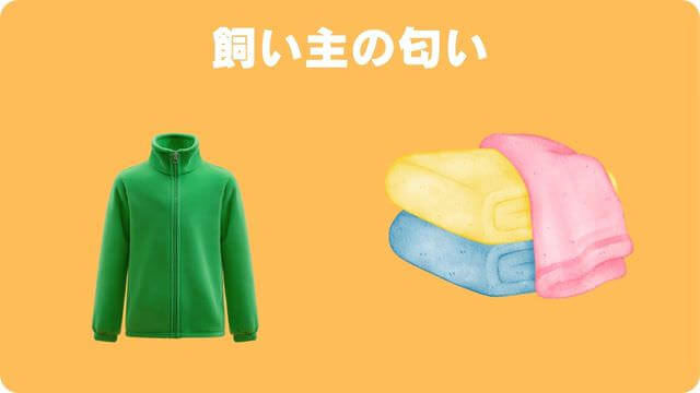 犬が留守番中吠える