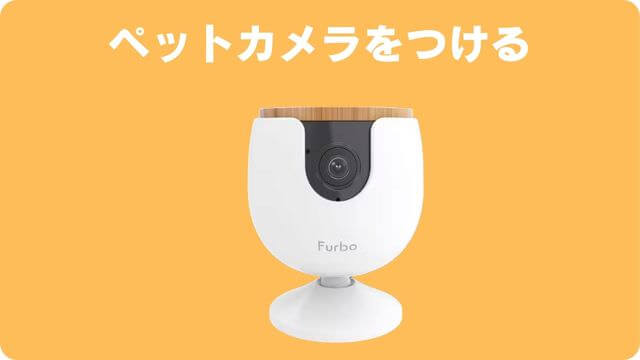 犬が留守番中吠える