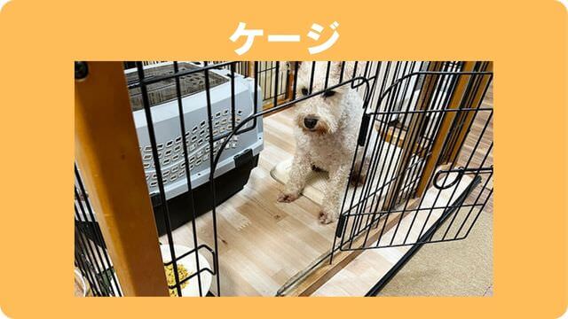 犬が留守番中吠える