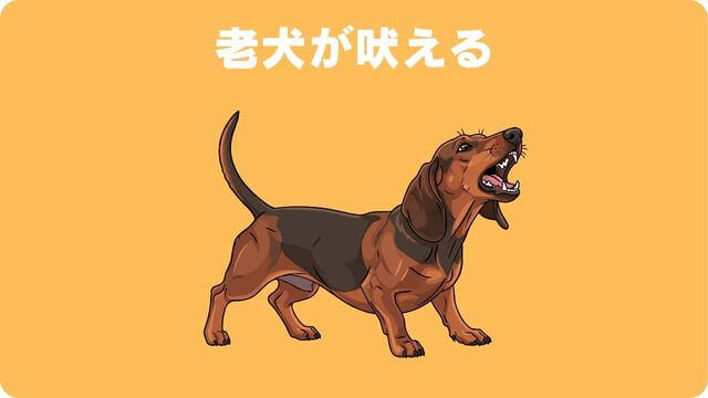 犬が留守番中吠える