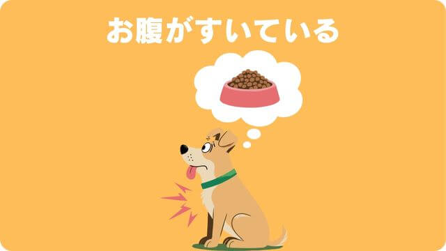 犬が留守番中吠える