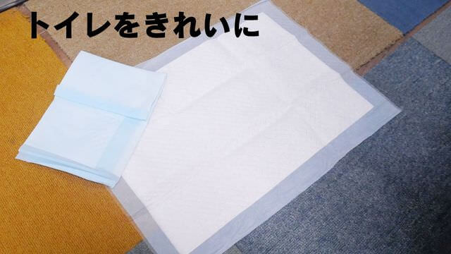 犬が留守番中吠える