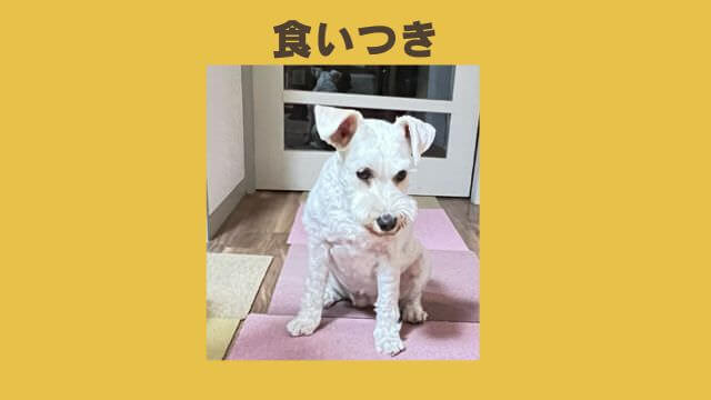 バーキングヘッズ ファット ドッグ スリム チキン