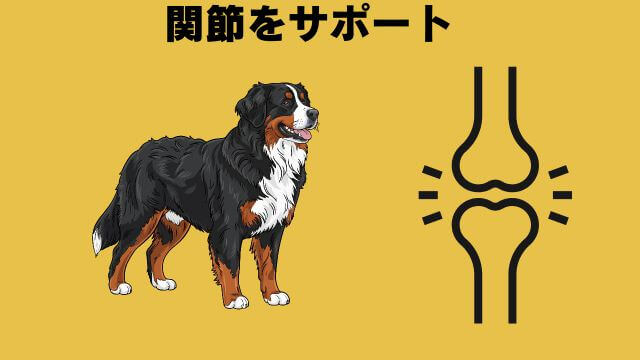 バーキングヘッズ ファット ドッグ スリム チキン