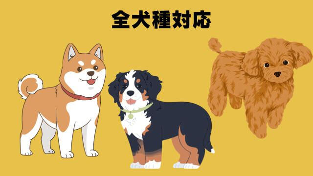バーキングヘッズ ファット ドッグ スリム チキン