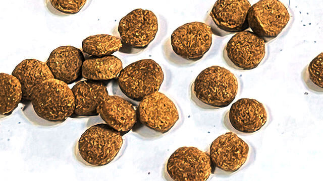 ファットドッグ