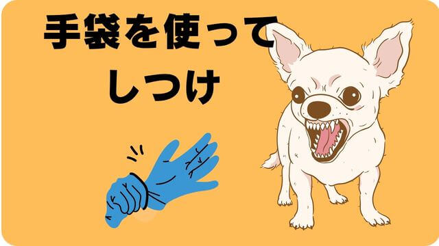 犬が噛むなら手袋