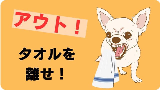 犬が噛むなら手袋