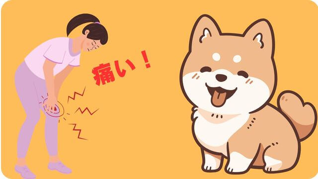 犬が噛むなら手袋で